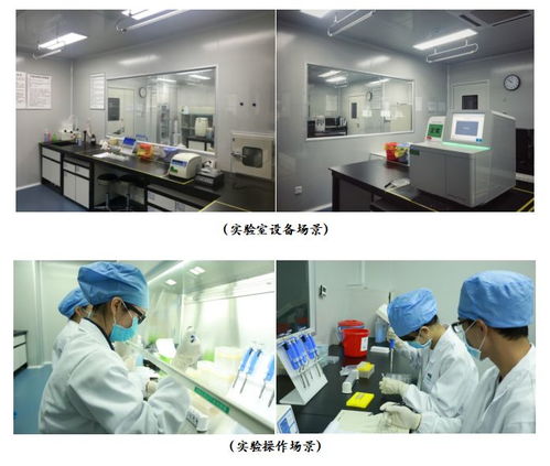 广州高科技高成长20强企业风采 网络技术研发与技术服务的领航者