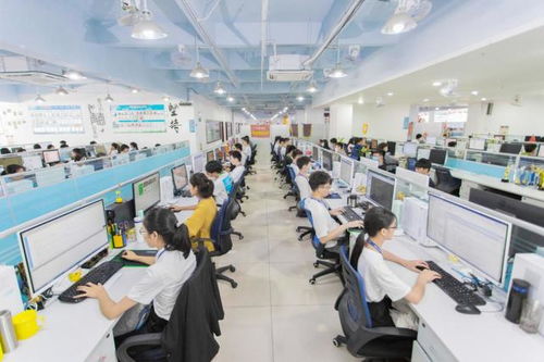 湛蓝科技朝阳服务宝 以技术创新驱动，树立店铺代运营行业新标杆