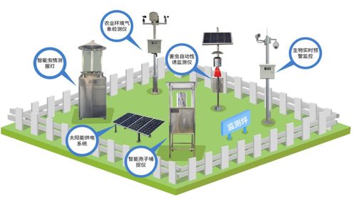 科技赋能农业 网络技术研发与服务如何让智慧之花绽放